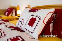 Azyl pro milence Budjovice
