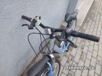  Levn Prodm  kolo Cipollo FS
