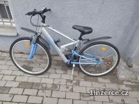  Levn Prodm  kolo Cipollo FS