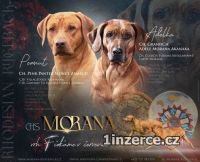 ChS Morana zad tata RR s PP