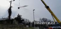 Prodej vzrostlch devin - cel 