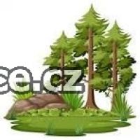 POPT�VKA PO REALIZACI LESNICK�