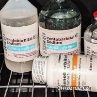 Nembutal, pentobarbital sodn� 