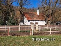 Hospodyn�, asistentka a pr�ce